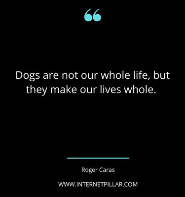 rescue-dog-quotes-sayings-captions