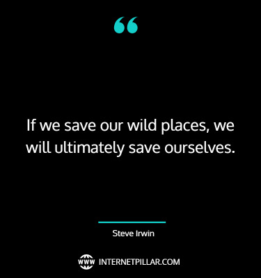 save-wildlife-quotes-sayings-captions