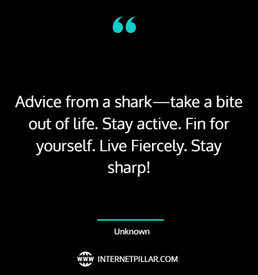 shark-quotes-3