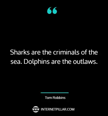 shark-quotes-8