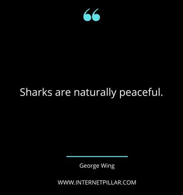 shark-quotes