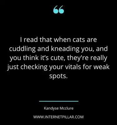 strong-cuddle-quotes-sayings-captions
