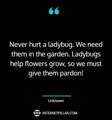 strong-ladybug-quotes-sayings-captions