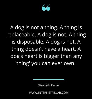 strong-rescue-dog-quotes-sayings-captions
