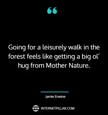 thought-provoking-forest-quotes-sayings-captions