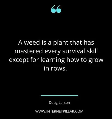 thought-provoking-plant-quotes-sayings-captions-for-plant-lovers