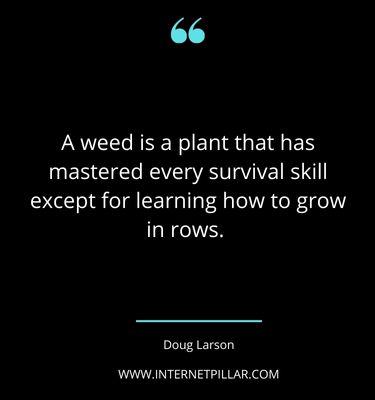 thought-provoking-plant-quotes-sayings-captions-for-plant-lovers