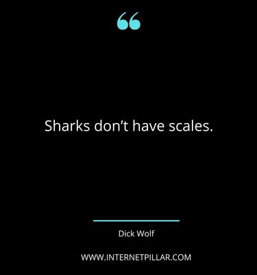 thought-provoking-shark-quotes-sayings-captions
