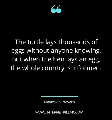 thought-provoking-turtle-quotes-sayings-captions
