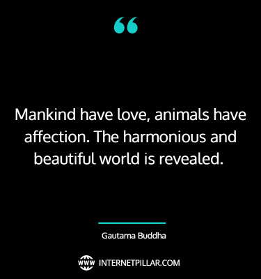 top-buddhist-quotes-on-animals-quotes-sayings-captions