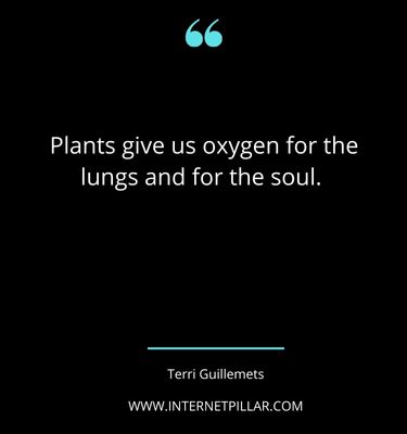 top-houseplant-quotes-sayings-captions