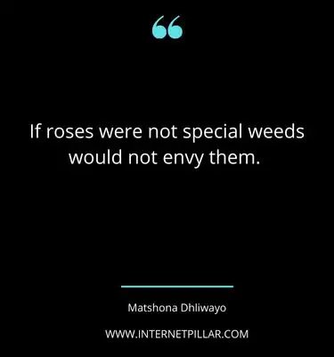 top-plant-quotes-sayings-captions-for-plant-lovers