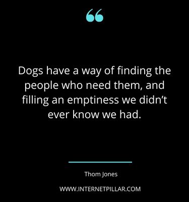 top-rescue-dog-quotes-sayings-captions