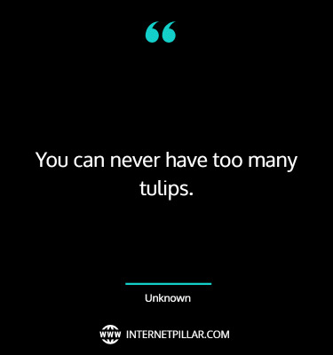 tulip-quotes-sayings-captions