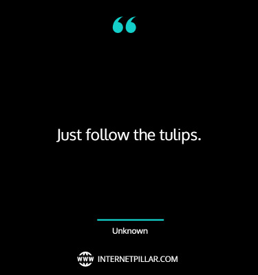tulip-quotes-sayings