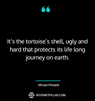 turtle-quotes-2