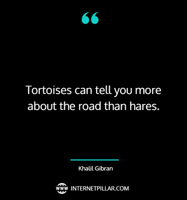 turtle-quotes-3.jpg
