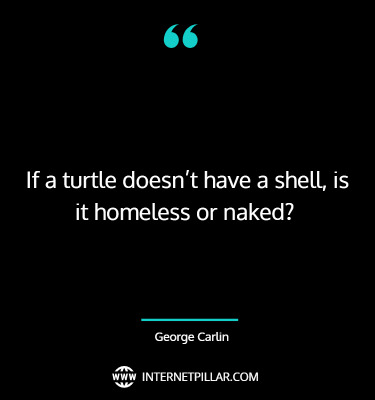 turtle-quotes-4.jpg