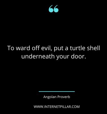turtle-quotes-sayings-captions
