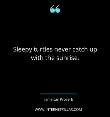 turtle-quotes-1