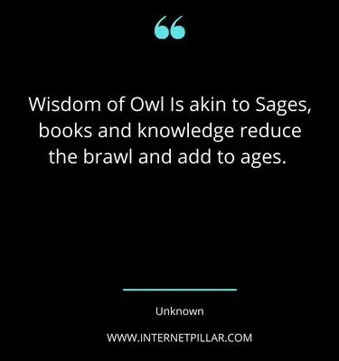 ultimate-owl-quotes-sayings-captions