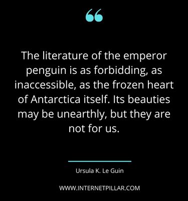 wise-penguin-quotes-sayings-captions
