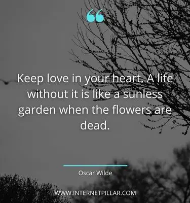 wise-quotes-about-heart