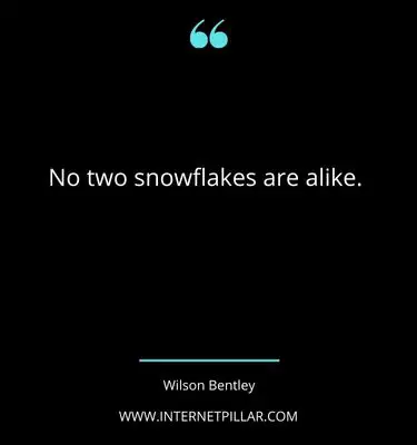 wise snowflake quotes sayings captions