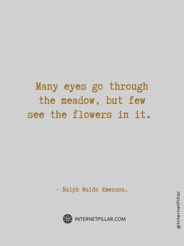 amazing-flower-sayings