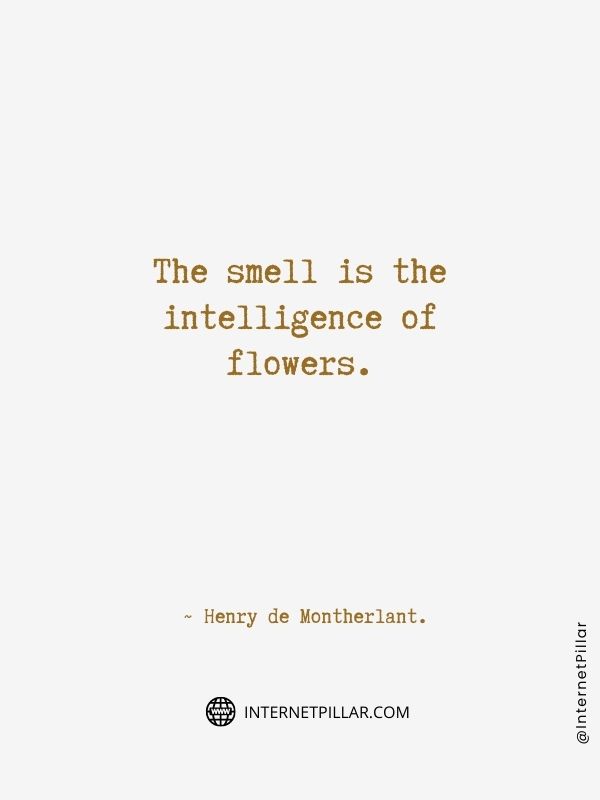 awesome-flower-quotes