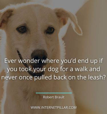 beautiful-pet-sayings
