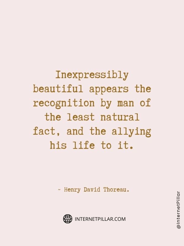 beautiful-quotes-about-facts-of-life