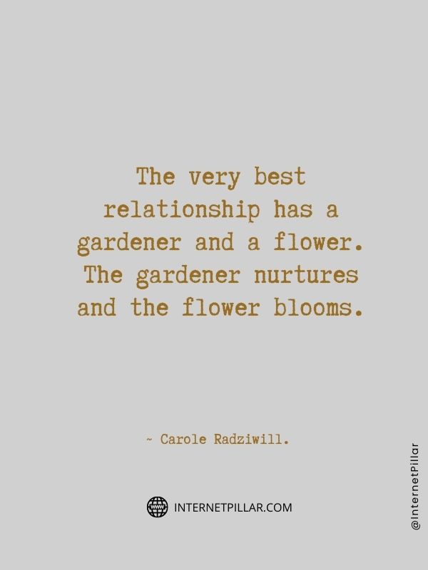 beautiful-quotes-sayings-about-flower