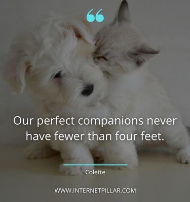 best pet quotes