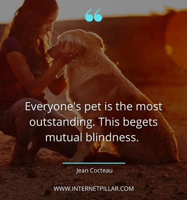 best-quotes-about-pet
