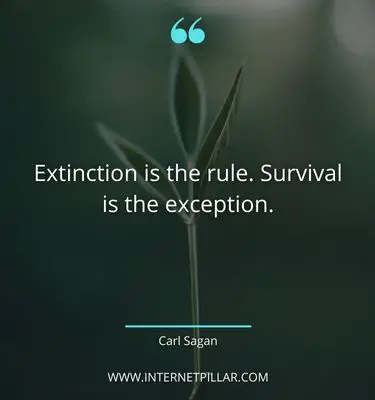 best-survival-quotes
