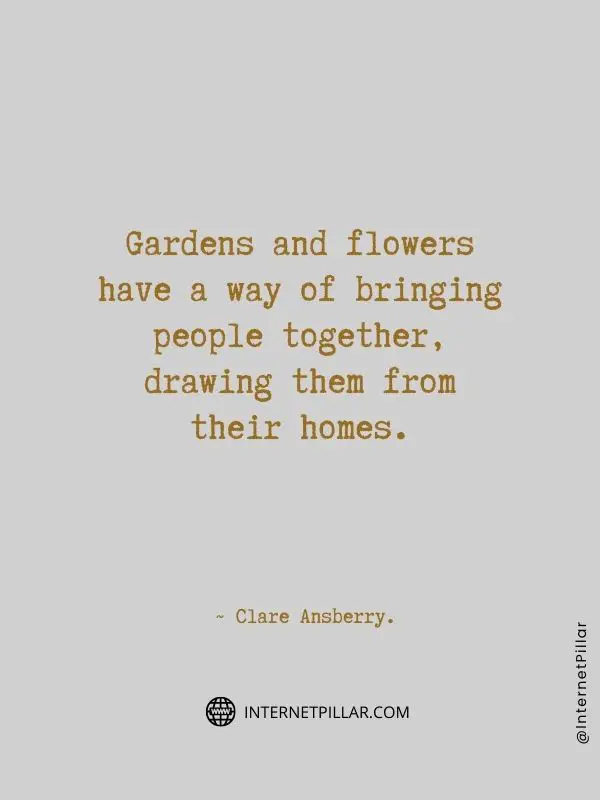 flower-quotes-by-internet-pillar
