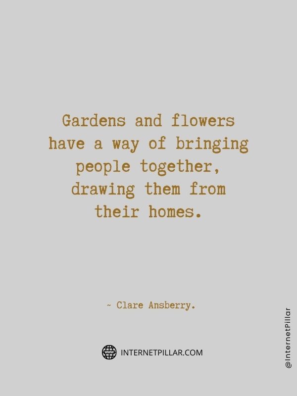 flower-quotes-by-internet-pillar