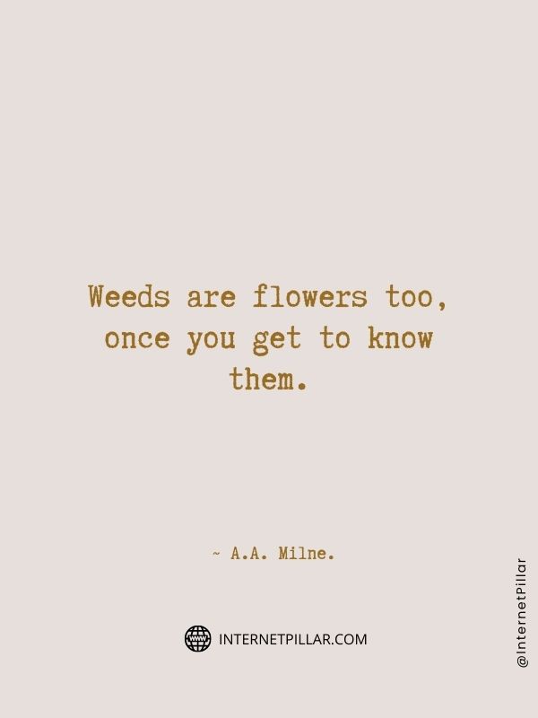 flower-quotes