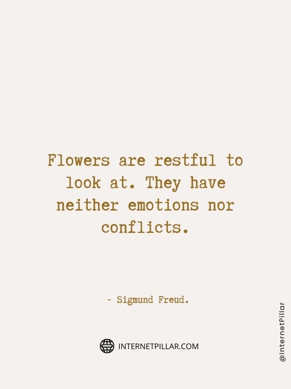 flower-sayings