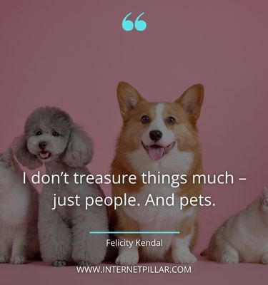 great pet quotes