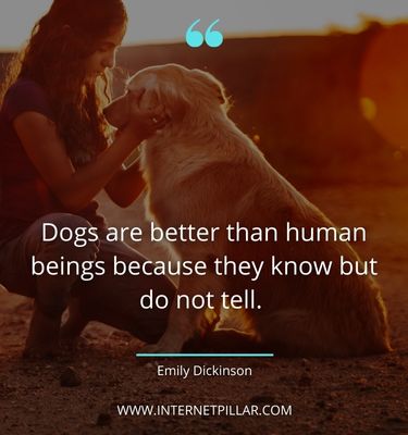 great quotes about pet