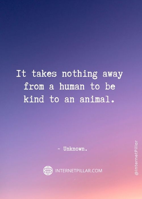 human-connection-captions