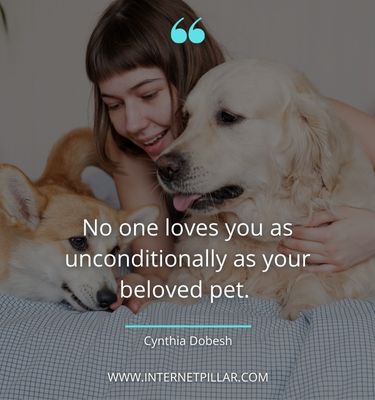 inspirational-pet-quotes
