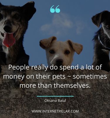 inspirational-pet-sayings
