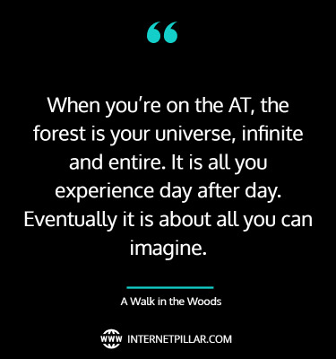 inspiring-a-walk-in-the-woods-quotes-by-internet-pillar