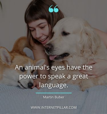 inspiring pet quotes