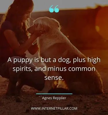 inspiring pet sayings