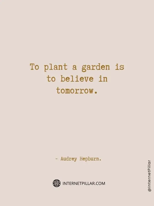 interesting-flower-quotes