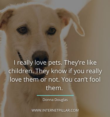 interesting-pet-sayings
